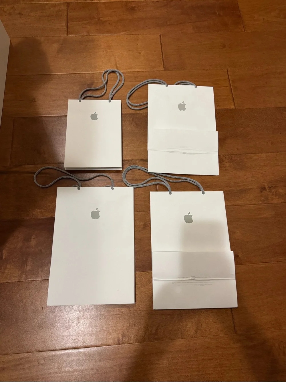 Apple White Paper Shopping Bags (Set of 4)